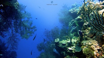 Fantasy Island Beach Resort, Dive And Marina All Inclusive