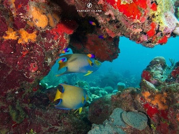 Fantasy Island Beach Resort, Dive And Marina All Inclusive