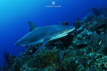 Fantasy Island Beach Resort, Dive And Marina All Inclusive