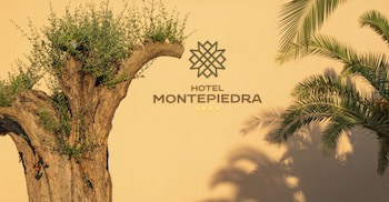Hotel Montepiedra
