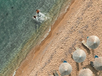 Alkyonis Hotel fotoğrafı
