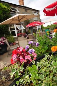 The Blue Boar