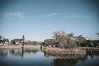 Riboville