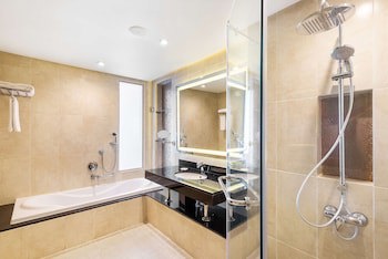 Radisson Blu Hotel & Convention Center, Alexandria