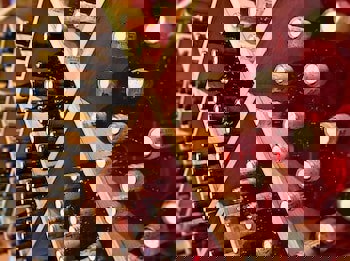 Gülhanepark Hotel & Spa