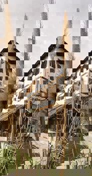 Gulevi Safranbolu Hotel