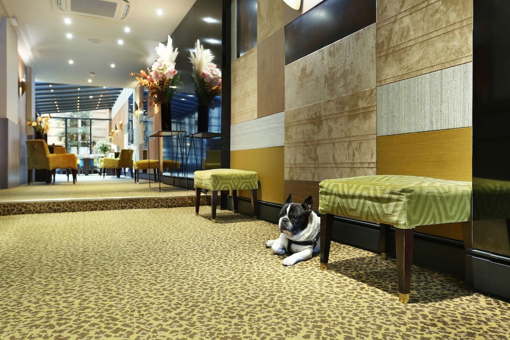 Hotel Concortel