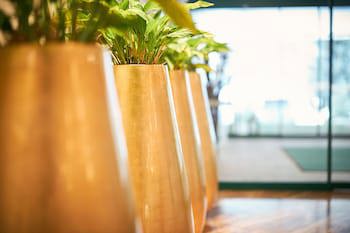Cesta Grand - Aktivhotel & Spa