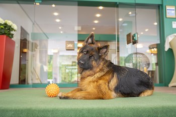 Cesta Grand - Aktivhotel & Spa