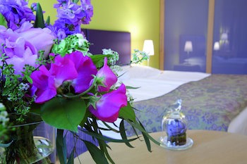 Appartement-Hotel An Der Riemergasse
