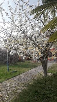 Il Pioppo e la Fonte galeri fotoğrafı