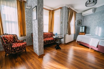 Ayasofya Hotel - Special Class