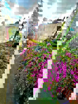 Ayasofya Hotel - Special Class