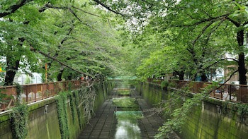 Dormy Inn Express Meguro Aobadai Hot Spring