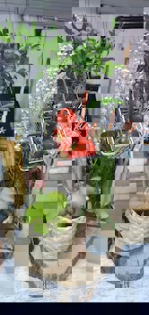 Ilica Hotel Spa And Wellness Thermal Resor Cesme