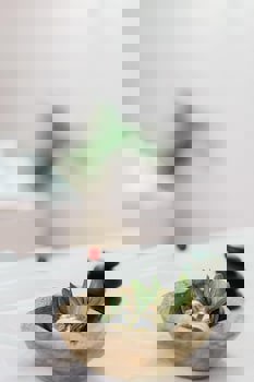 Ilica Hotel Spa And Wellness Thermal Resor Cesme