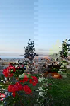 Traveller's Cave Hotel