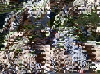 Traveller's Cave Hotel