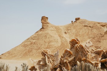 El Mouradi Tozeur