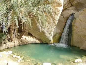 El Mouradi Tozeur
