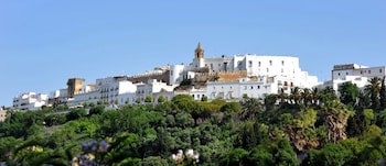 Boutique Hotel V...