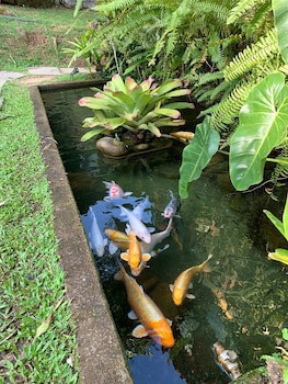 Pousada Bromelias