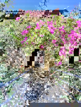 Hotel Club Barbarossa