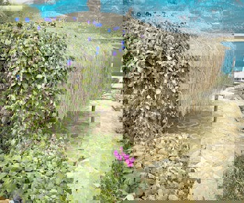 Hotel Club Barbarossa