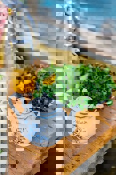 Hotel Club Barbarossa