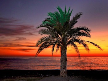 Arrayanes Playa Hotel