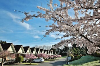 Ascot Park Hotel