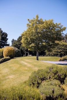Ascot Park Hotel