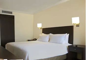 Fiesta Inn Toluca Centro