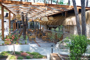 Hotel Pine Valley galeri fotoğrafı