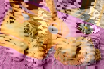 Spice Hotel & Spa All Inclusive