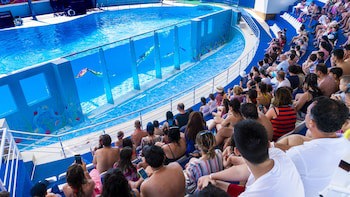 Daima Biz Hotel - All Inclusive