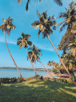 Bambolim Beach Resort