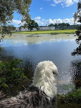 Castlemartyr Resort