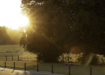 Castlemartyr Resort