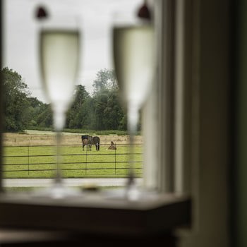 Castlemartyr Resort