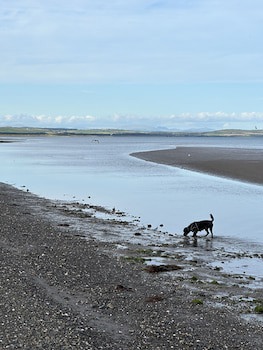 Tigh Na Mara Hotel