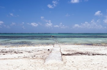 Karafuu Beach Resort & Spa