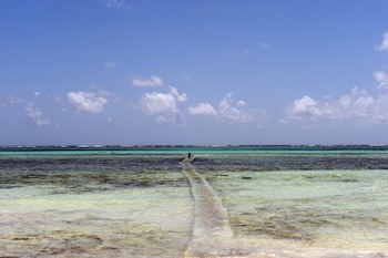 Karafuu Beach Resort & Spa
