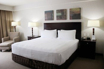 Crowne Plaza Leon, An Ihg Hotel