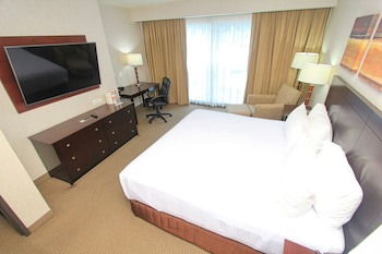 Crowne Plaza Leon, An Ihg Hotel
