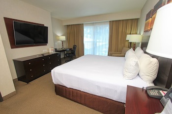 Crowne Plaza Leon, An Ihg Hotel