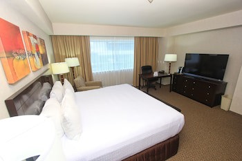 Crowne Plaza Leon, An Ihg Hotel