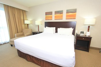 Crowne Plaza Leon, An Ihg Hotel