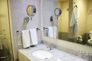 Crowne Plaza Leon, An Ihg Hotel