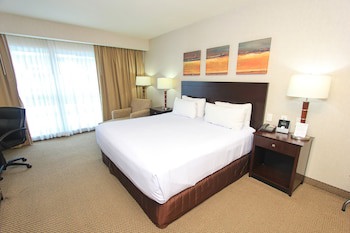 Crowne Plaza Leon, An Ihg Hotel
